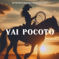 Vai Pocotó