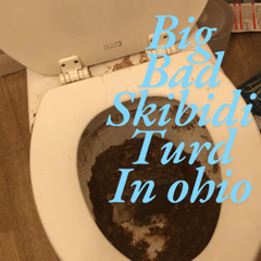 A Big skibidi turd in ohio