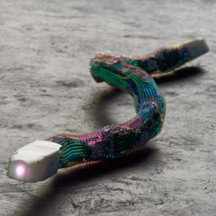 ML555: ACAPTCHA