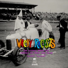 WACKY RACISTS (THE SYSTEMIC ENGINE THAT CONTROLS THE FINISH LINE) VOL.38 side b