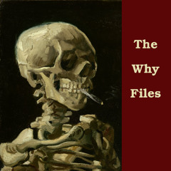 The Why Files