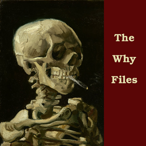 The Why Files