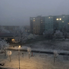 BARON X ACCID - PARANOIA