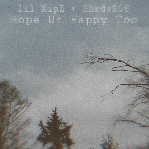 XipZ x Shxdy808 - The End Is Always The Worst Part (ft. sendflowrs)