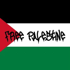 Free Palestine Flip