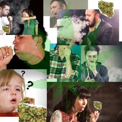 大麻バッド