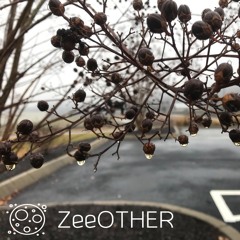 Tennessee Rain Drops