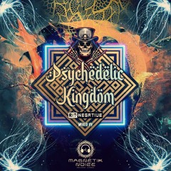 Psychedelic Kingdom V.A. Vol. 3 Mixed by Rit-Negative