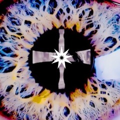 The field of human perception