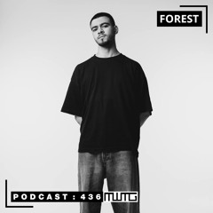 MWTG 436: Forest