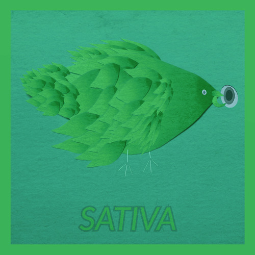 SATIVA