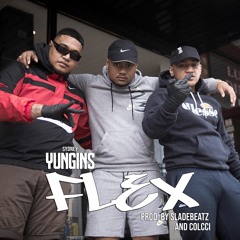 Sydney Yungins - Flex