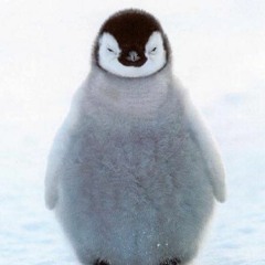 입맛없는거뻥이었나보다.