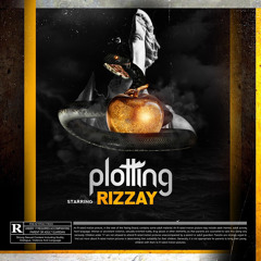 Rizzay Plotting