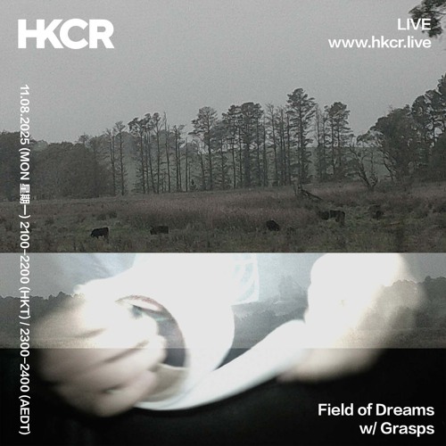 Field of Dreams w/ Grasps - 11/08/2025