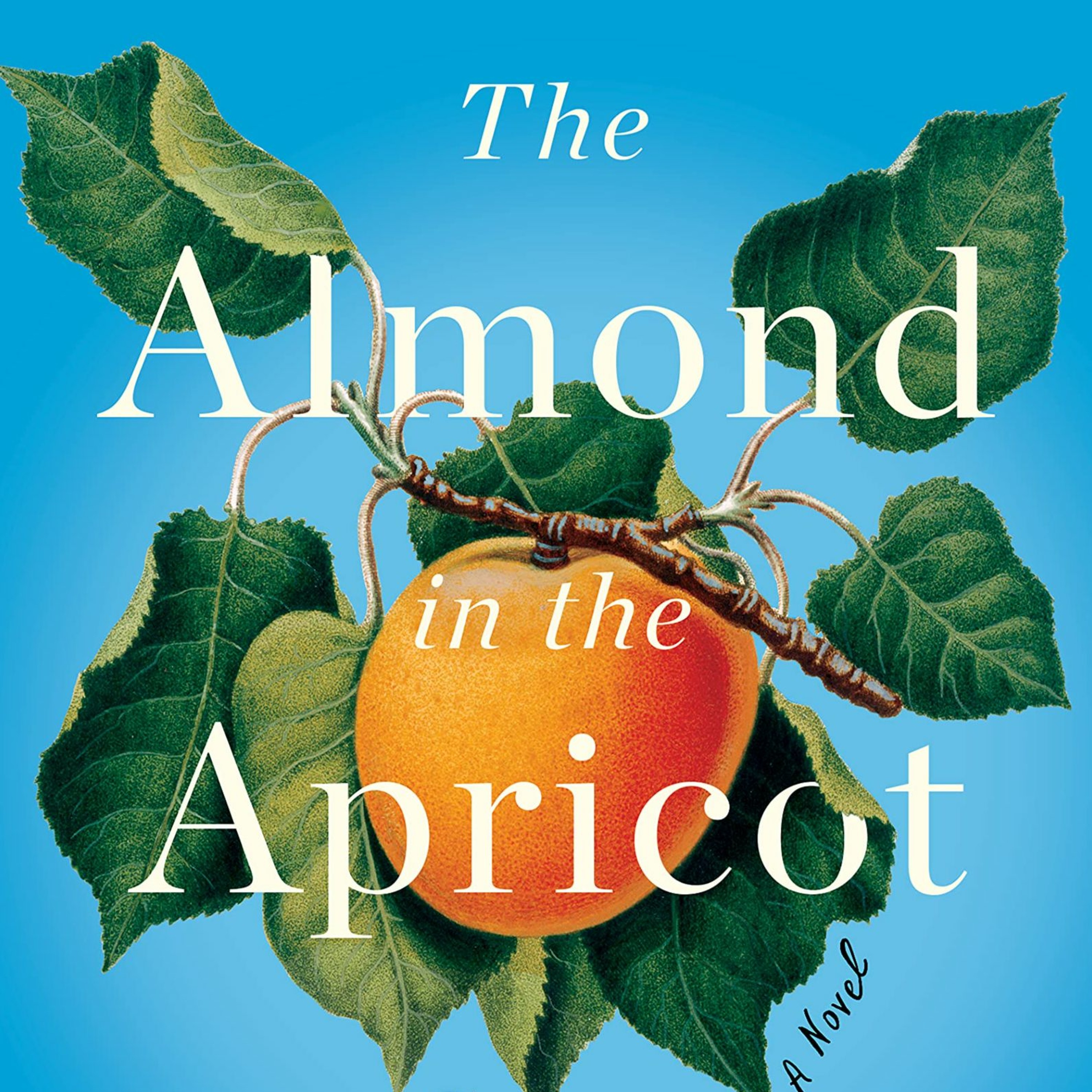 The Almond and the Apricot by Sara Goudarzi episode artwork