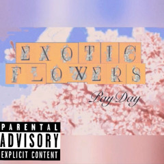 PayDay - Exotic Flowers