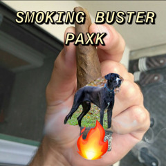 SMOKING BUSTER PAXK