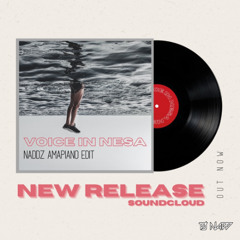 VOICES IN NESA ( NADDZ AMAPIANO EDIT )