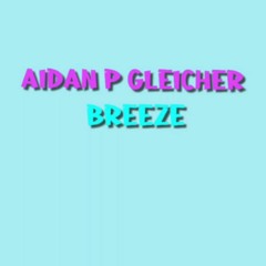 Aidan P Gleicher - Reversed
