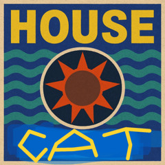 STIJLFOUT - Housecat