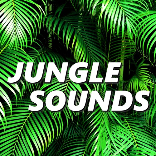 Stream Jungle Sound By Amazon Jungle Sounds | Listen Online For Free On ...