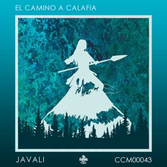 Javali (MX) - Naves espaciales y esas cosas (Original Mix)