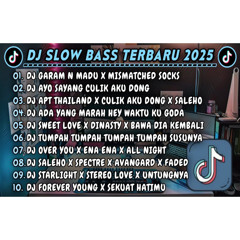 DJ SLOWBASS TERBARU 2025 || DJ GARAM N MADU X MISMATCHED SOCKS || DJ AYO SAYANG CULIK AKU DONG VIRAL