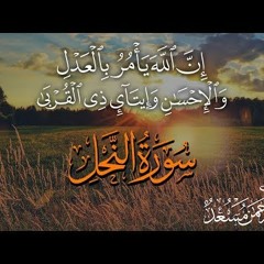 تلاوة خاشعة للقارئ عبد الرحمن مسعد