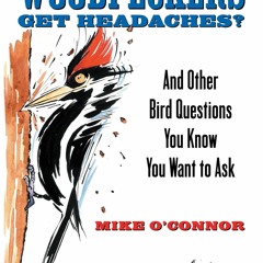 ❤ PDF Read Online ❤ Why Don't Woodpeckers Get Headaches?: And Other Bi