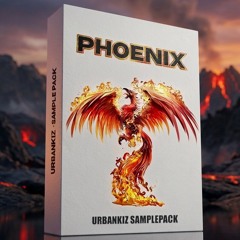 Phoenix Melody 12 ( Preview )