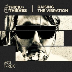 Raising the Vibration Mix #013 — T-REK [Live from Pig&Dan at Revolver Upstairs]