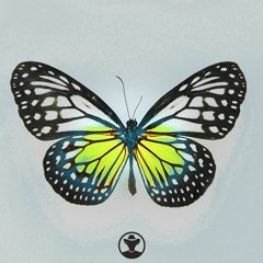 Kacey Musgraves - Butterflies (Real Hypha Remix)