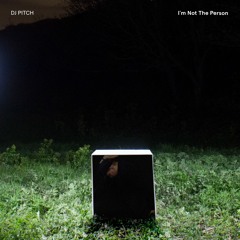 DJ Pitch - I'm Not The Person (Song With David Byrne)