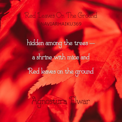Red Leaves On The Ground [Naviarhaiku369]