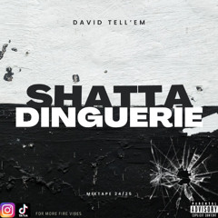 🔥 SHATTA DINGUERIE - Best of Shatta Dancehall X David Tell'Em (DJ ON FLEEK)