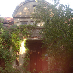 silence in the asylum