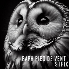 Strix