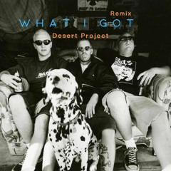 Dersert Project - What i Got (Remix)