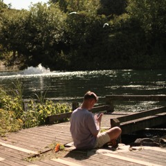 Eyeconic - Sunflowers