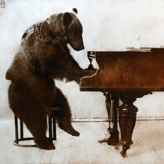 Hold My Bear Symphony