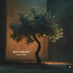 FLOW208: Ben Vibrant - Olive Tree