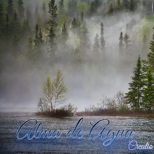 🌊Alma de Agua🌊