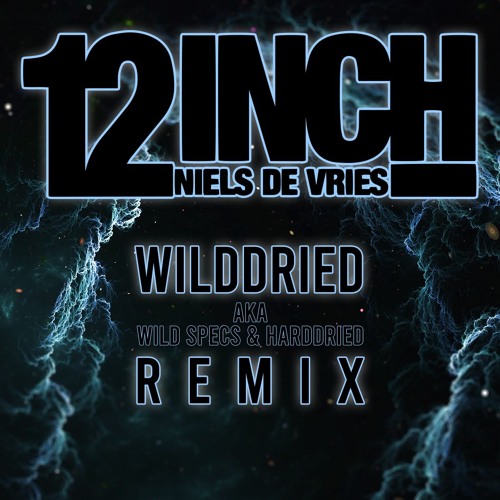 Niels De Vries - 12 inch (Wilddried Remix)