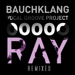 Ray (Steel Preacher Remix)
