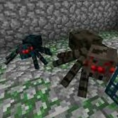 SPIDER CAVE