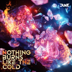 Snoh Aalegra - Nothing Burns Like The Cold (DUKE Flip)