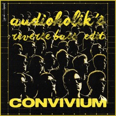 GABRY PONTE & T78 - convivium (AUDIOHOLIK's reverse bass edit)