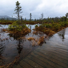 творожное озеро - секрет (cover soinsomnia).mp3