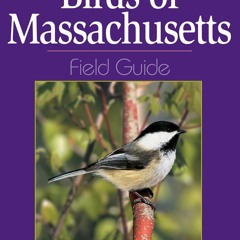 Ebook PDF Birds of Massachusetts Field Guide